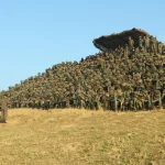 Lt Gen Katiyar and Other Soldiers
