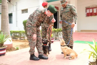 Lt Gen Abhijit S Pendharkar With Dogs