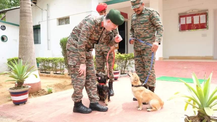 Lt Gen Abhijit S Pendharkar With Dogs