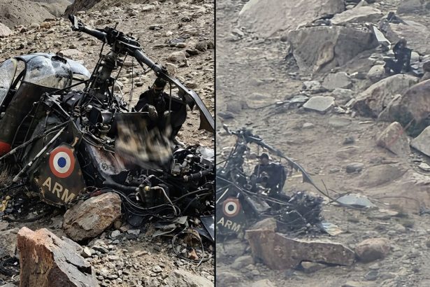 Major General Among Three Injured After Army Cheetah Helicopter Crashes in Ladakh