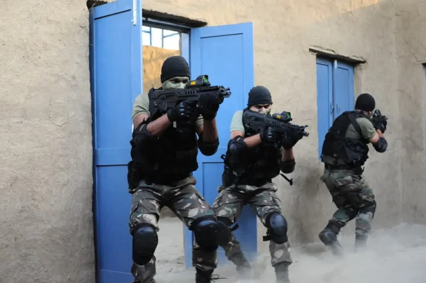 Soldiers in