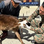 Indian Army Conducts Veterinary Camps