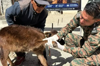 Indian Army Conducts Veterinary Camps