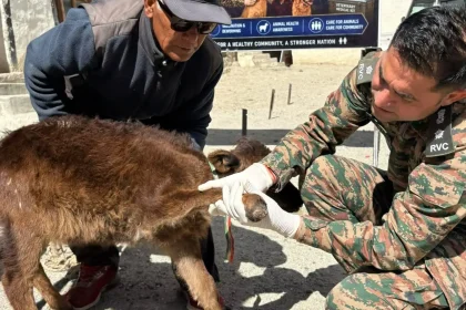 Indian Army Conducts Veterinary Camps