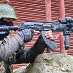 AK 203