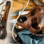 CISF Detects Monkey Skull Concealed in Passenger’s Hand Baggage at Delhi Airport