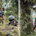 Army Dogs with Soldiers
