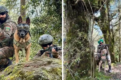 Army Dogs with Soldiers