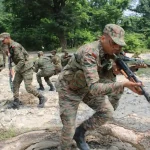 OCs in Training