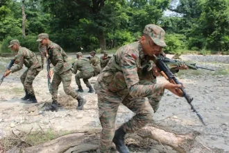 OCs in Training