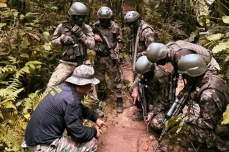 Soldiers In Jungle